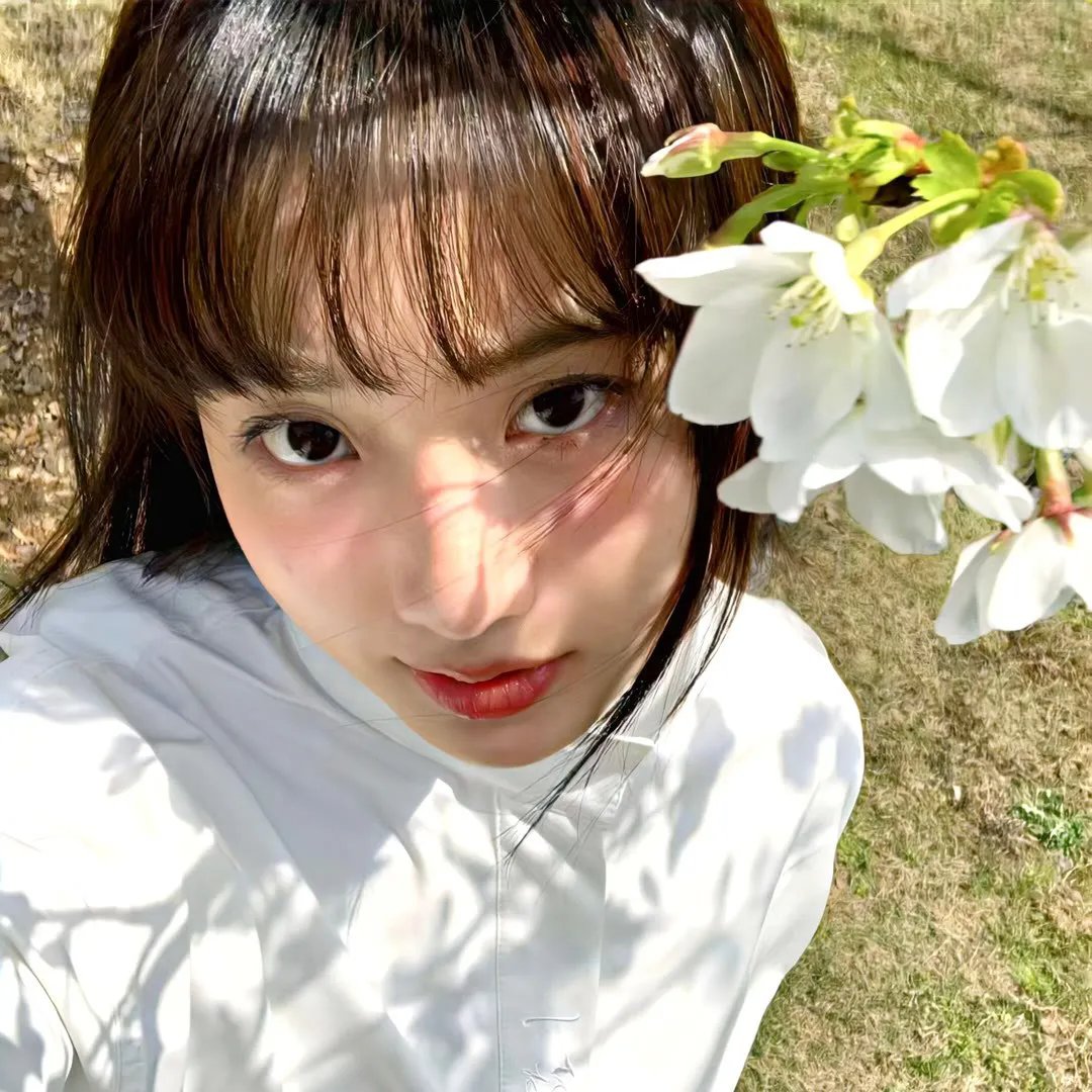 顾少的替身小作精